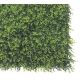 Perete verde Nortene VERTICAL BUXUS - cu frunze de buxus 